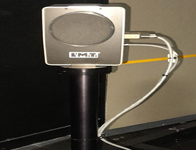 Licence Lamp